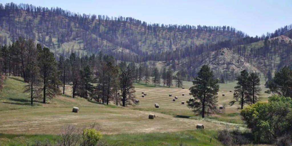 Wasatch Peaks Ranch rolling meadow homesite